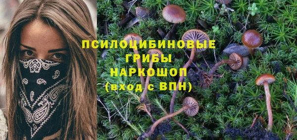 прущие крисы Арсеньев