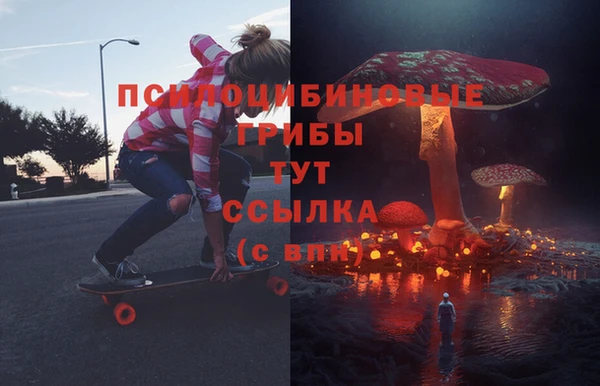 прущие крисы Арсеньев