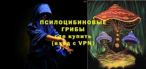 прущие крисы Арсеньев