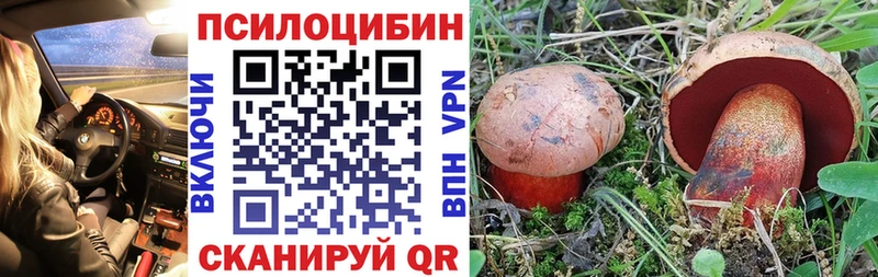 Псилоцибиновые грибы прущие грибы  маркетплейс формула  Могоча  где можно купить  